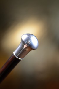 Walking stick lux Fayet