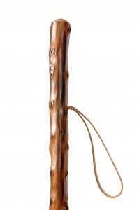 Walking stick a wood nature + kompas