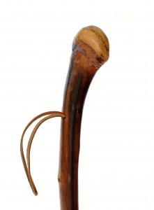 Walking stick wood nature Rustikal with spike 