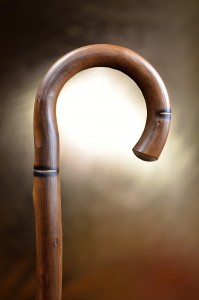 Walking stick for nature